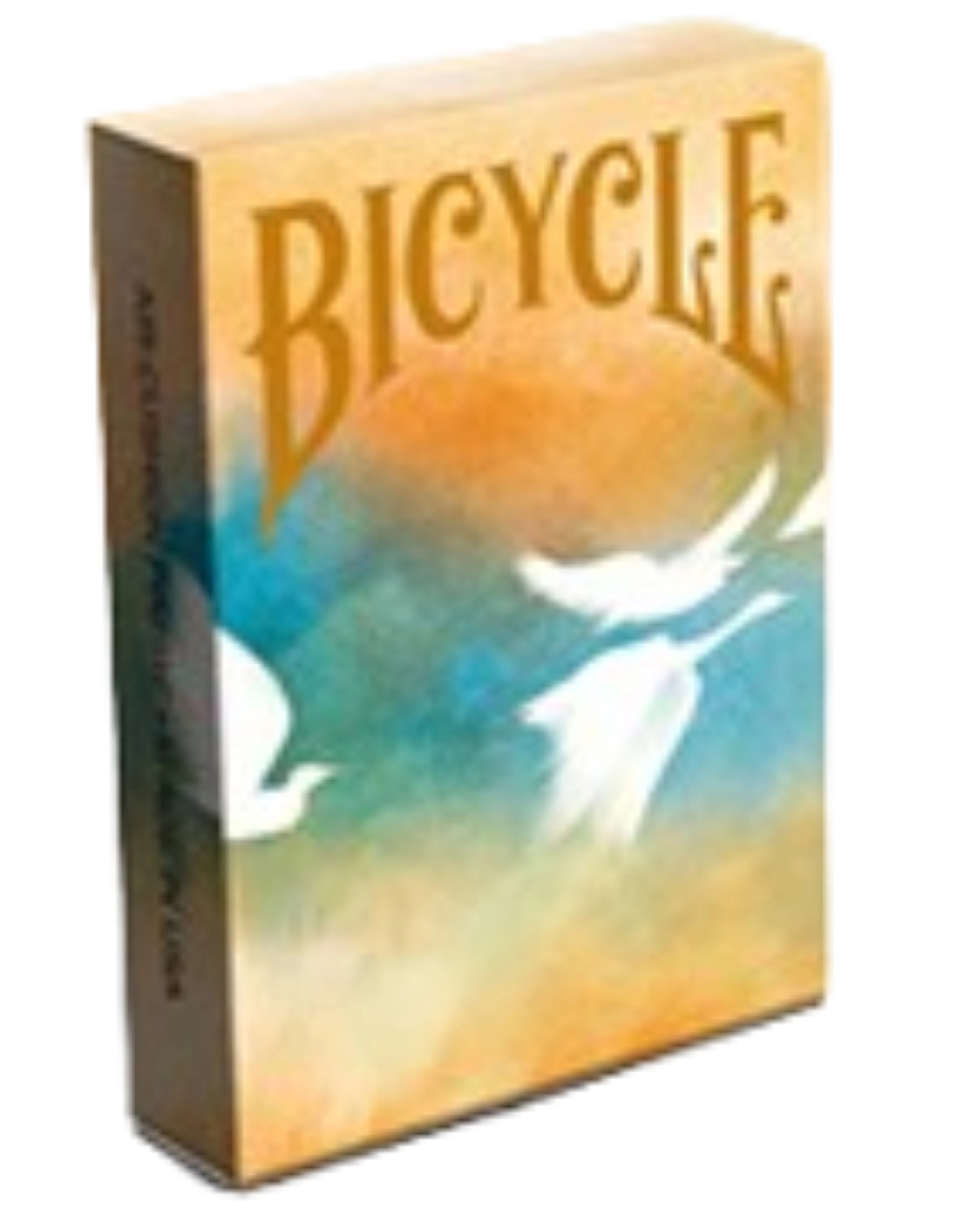 Bicycle | Seasons (Autumn Edition) Oyun Kartı