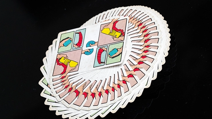 The Cardistry Game Oyun Kartı by Biz and Friends 