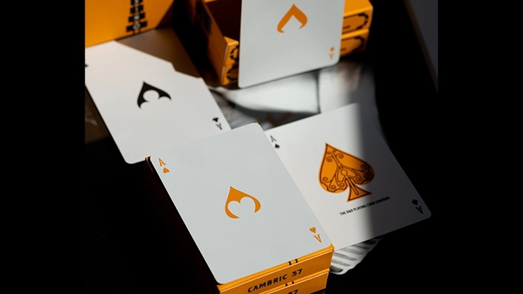 Ace Fulton’s Casino V3 Oyun Kartı