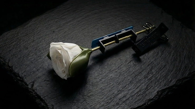 Project H: Rose Holder by J.S.M. Studio & Bacon Magic