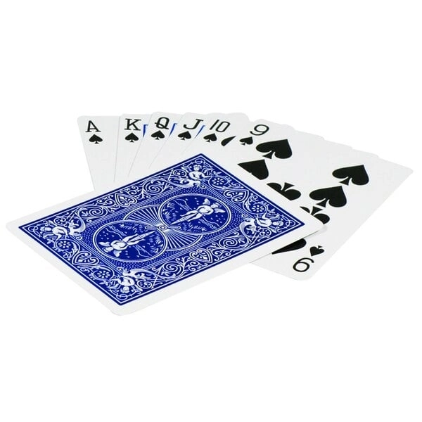 Bicycle | Pinochle Standard Blue Oyun Kartı