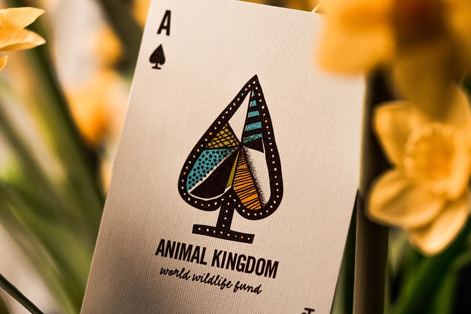 Theory11 | Animal Kingdom Oyun Kartı