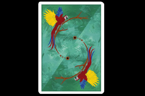 Infinity Playing Cards Oyun Kartı Difatta