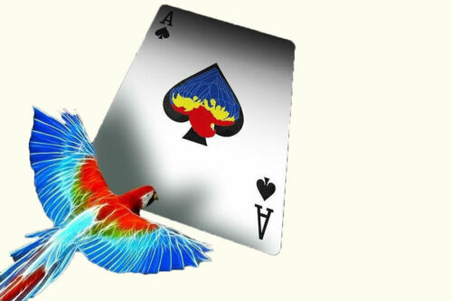 Infinity Playing Cards Oyun Kartı Difatta