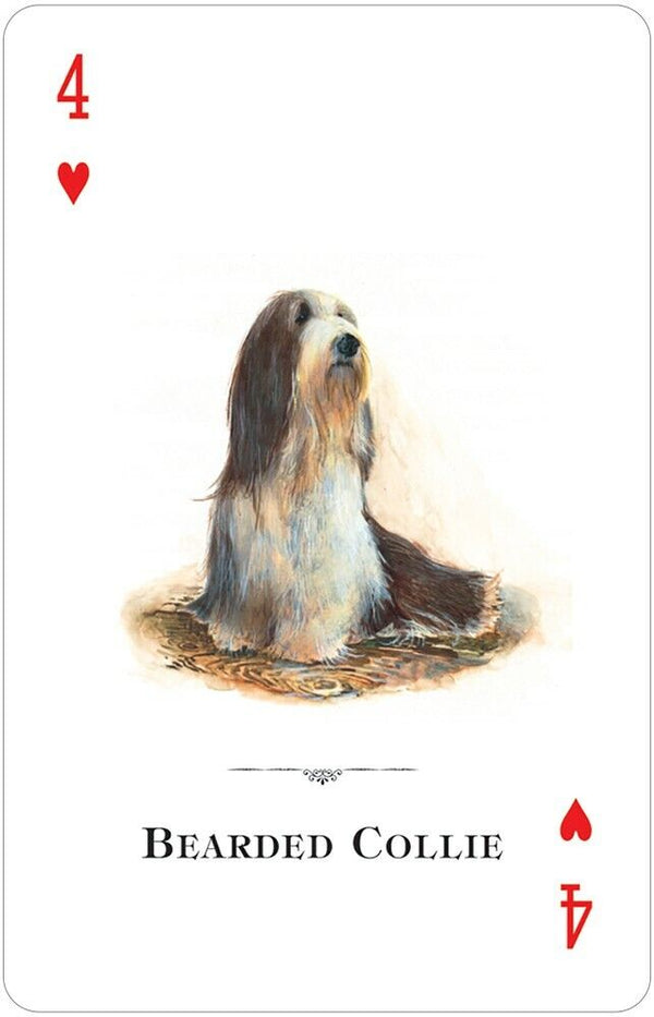 The Natural World Serisi: Dogs of the World İskambil Destesi