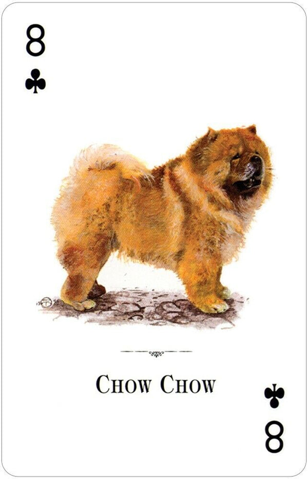 The Natural World Serisi: Dogs of the World İskambil Destesi
