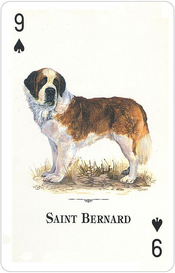 The Natural World Serisi: Dogs of the World İskambil Destesi