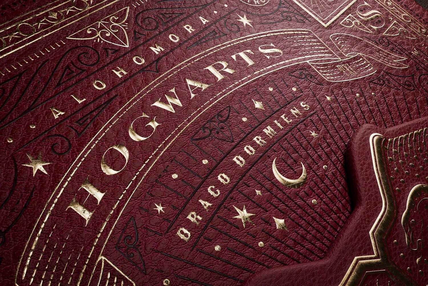 Theory11 | Harry Potter Premium Box Set Oyun Kartı