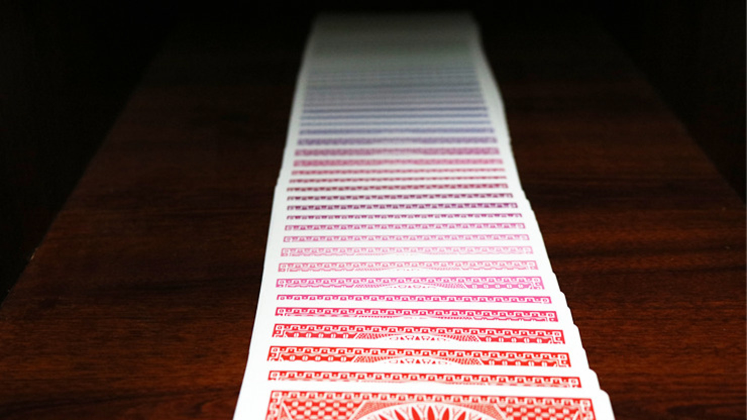 Spectrum Tally Ho Kart Destesi – Renkli Arka Tasarımlı Özel Tasarım