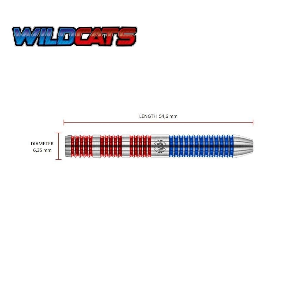 WINMAU WILDCATS %90 Çelik Uç Dart Oku