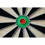 Winmau Pro SFB Dart Tahtası Winmau Pro SFB Dart Tahtası