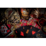 Chamber of Secrets Oyun Kartı