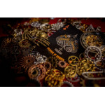 Chamber of Secrets Oyun Kartı